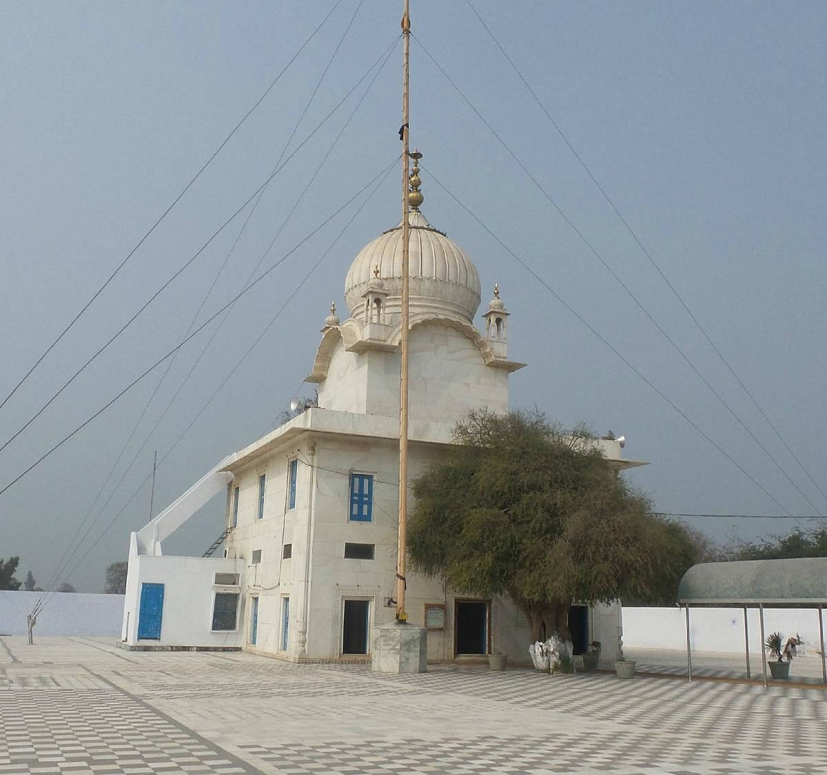 Tibbi Sahib